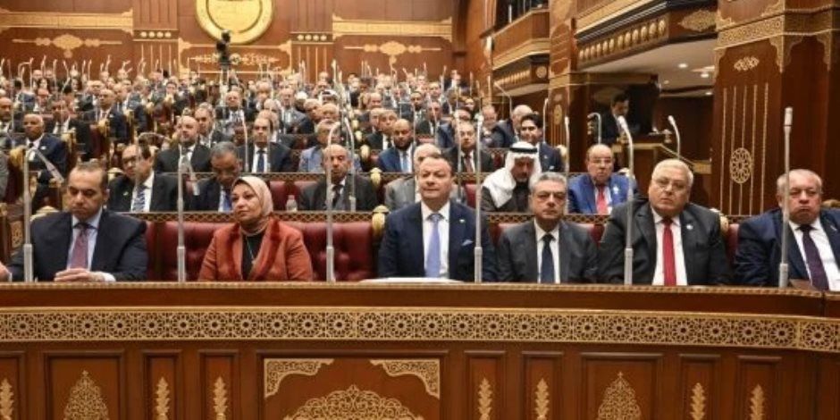مصادر برلمانية: هشام الششتاوى رئيسًا للجنة الصحة والسكان بمجلس الشيوخ