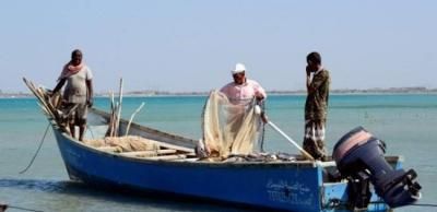 أخبار اليمن : إعلان فتح موسم اصطياد الجمبري
