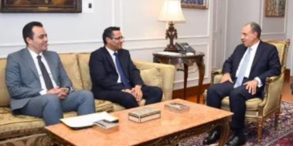 وزير الخارجية يلتقى نقيب الصحفيين ورئيس لجنة الشئون العربية غدًا
