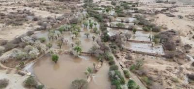 أخبار اليمن : طقس اليمن: أمطار وعواصف وسيول