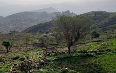 أخبار اليمن : الأرصاد: تراجع الأمطار حتى نهاية سبتمبر