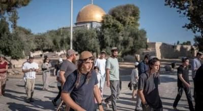 أخبار اليمن : 137 مستوطنا صهيونيا بقيادة غليك يقتحمون الأقصى