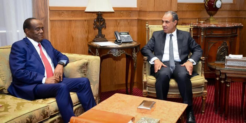 وزير الخارجية يبحث مع المستشار الاقتصادي للرئيس الإريترى دفع التعاون الاقتصادي والتبادل التجاري