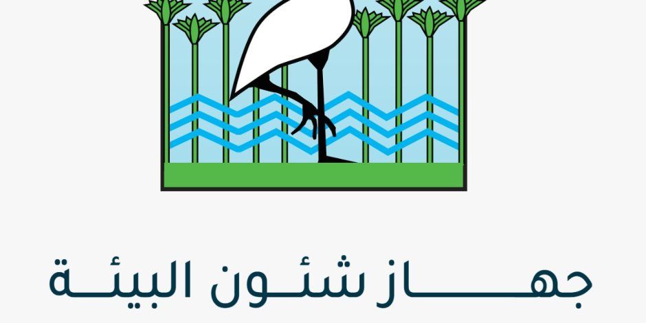 البيئة تعلن السيطرة على حريق بشونة لتخزين قش الأرز بقرية سلكا بالمنصورة