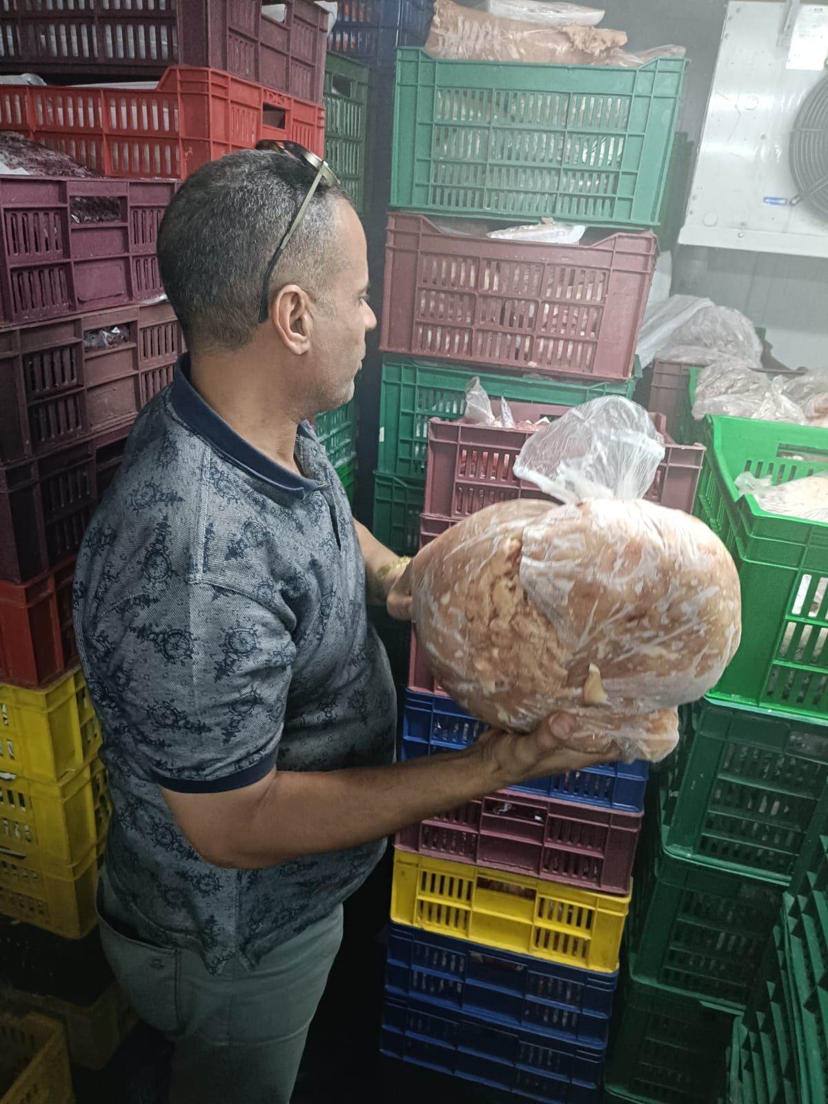ضبط (13) طنًا من اللحوم والدواجن غير الصالحة للاستهلاك الآدمي بالجيزة