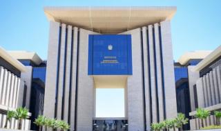 لجان من مصلحة الأحوال المدنية لإصدار الوثائق الشخصية للمصريين في الخارج