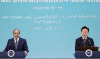 الرئيس السيسى: الارتقاء بالعلاقات مع كوريا الجنوبية للشراكة الاستراتيجية
