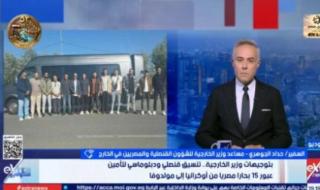 الخارجية : عودة 15 بحارًا مصريًا من أوكرانيا بعد تعرض سفنهم لهجمات