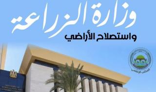 وزارة الزراعة" تعلن الانتهاء من حصاد 60% من محصول الأرز وتدوير 610 ألف طن قش لمواجهة "السحابة السوداء"