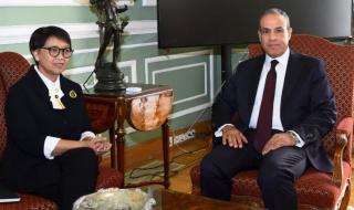 وزير الخارجية: مصر ترفض الإجراءات الأحادية التي تمس حقوق ومصالح دول المصب