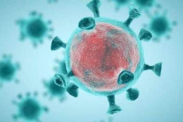 أستاذ علم فيروسات: سلالة «هيهي» ناتج لمتغيرات جينية لفيروس كورونا