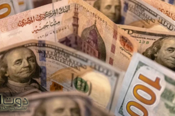 هدوء الأسواق.. سعر الدولار في مصر اليوم الجمعة 10 يناير 2025 في مختلف البنوك المصرية