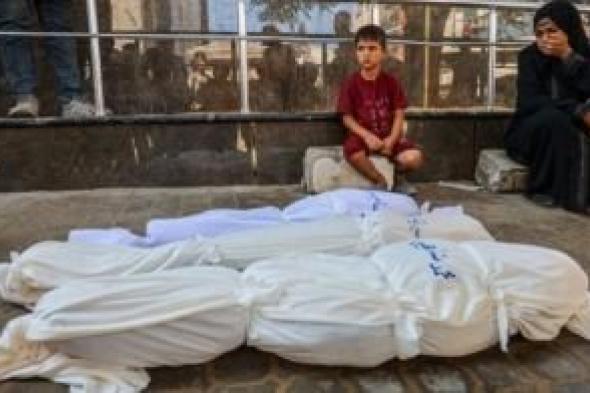أخبار اليمن : ارتفاع حصيلة شهداء غزة إلى 73454