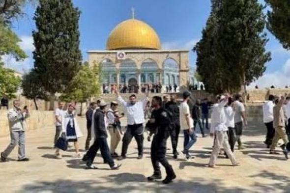 أخبار اليمن : عشرات المستوطنين يقتحمون الأقصى